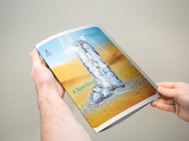 بروشور سه‌لتی ۲